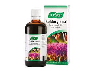 BOLDOCYNARA 100 ML. BIOFORCE