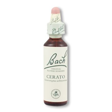 Flores de Bach - Cerato 20 ml