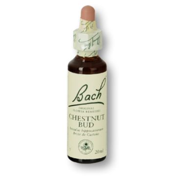 Flores de Bach - Chestnut Bud 20 ml