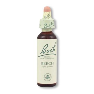 Flores de Bach - Beech 20 ml