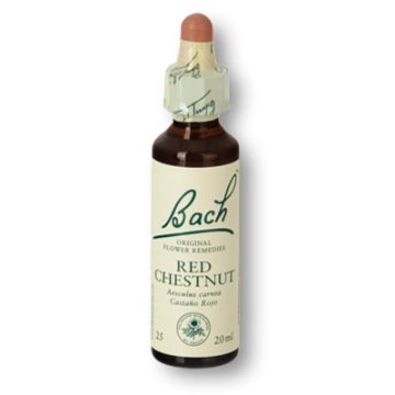 Flores de Bach - red chestnut 20 ml