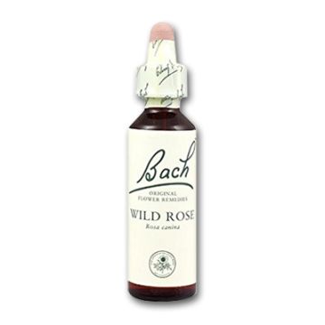 Flores de Bach - wild rose 20 ml