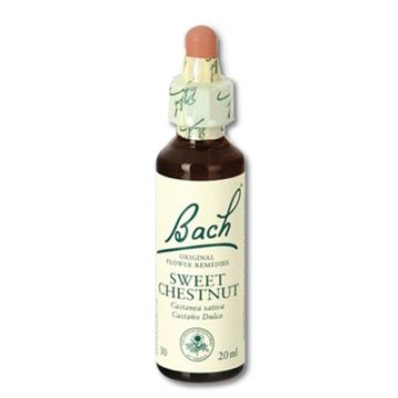 Flores de Bach - sweet chestnut 20 ml