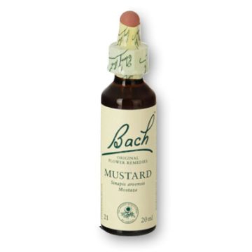 Flores de Bach - mustard 20 ml