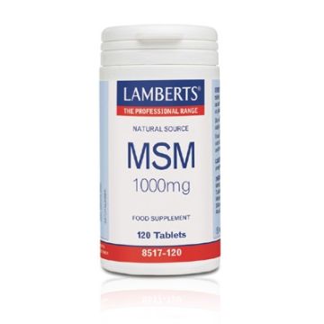 LAMBERTS MSM 1000MG 12 TABLETAS