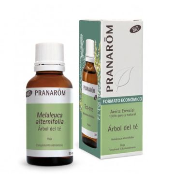 Pranarom Arbol del Te Aceite Esencial Bio 30ml