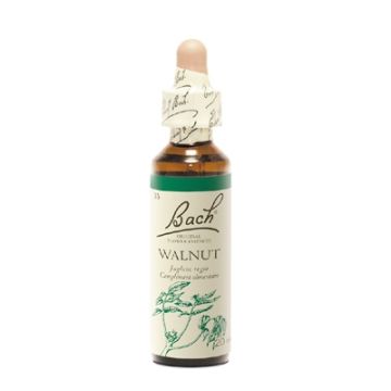 Flores de Bach - Walnut 20 ml